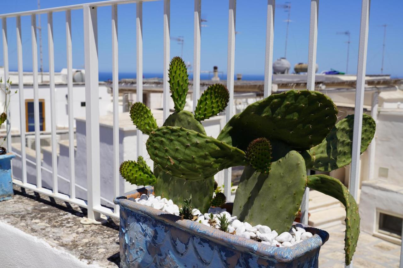Casabella - Con Terrazza Panoramica Villa Ostuni Ngoại thất bức ảnh
