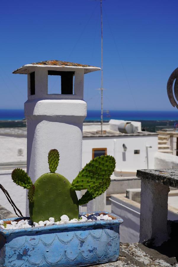 Casabella - Con Terrazza Panoramica Villa Ostuni Ngoại thất bức ảnh